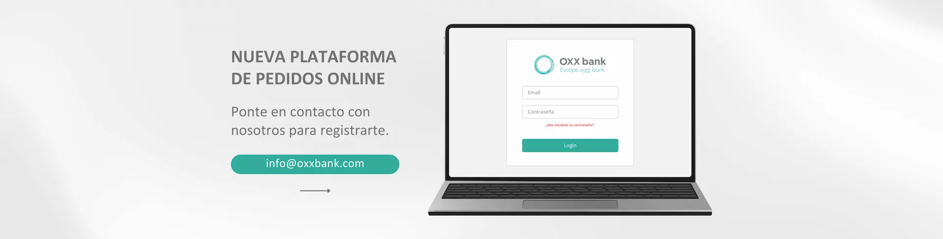 Your egg bank | OXX bank